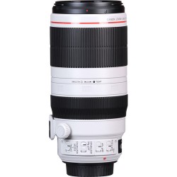 Canon LENS 100-400mm...