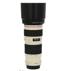 Canon EF 70-200mm f/4L USM...